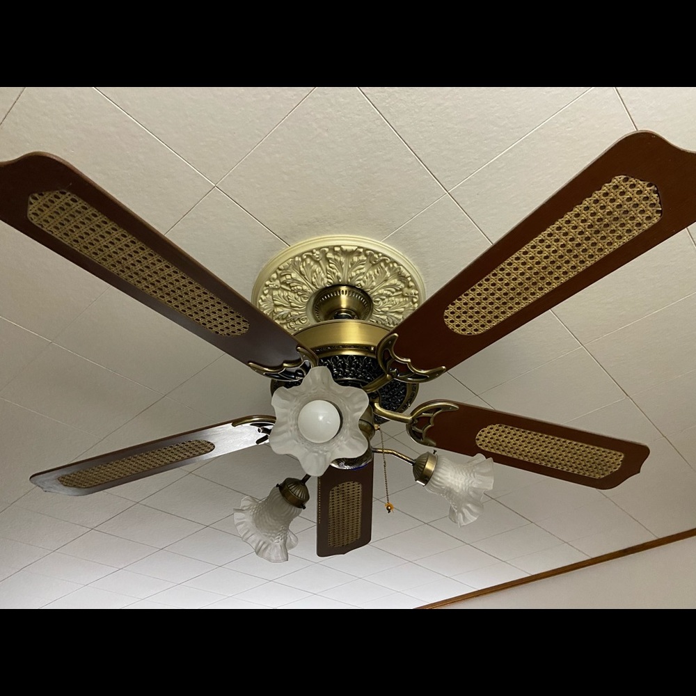 Vintage ceiling fan and light fixture. Beautiful detail.
